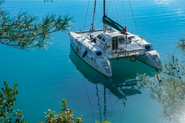 VIP Catamarans VIP Catamarans